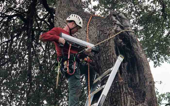 Isa arborist certification practice test