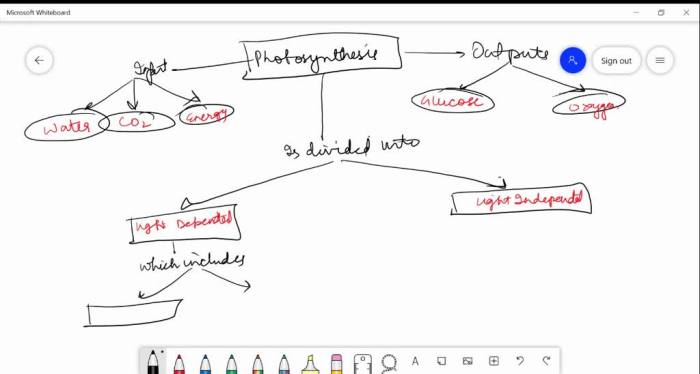 Photosynthesis stem case concept map