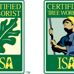 Isa arborist certification practice test