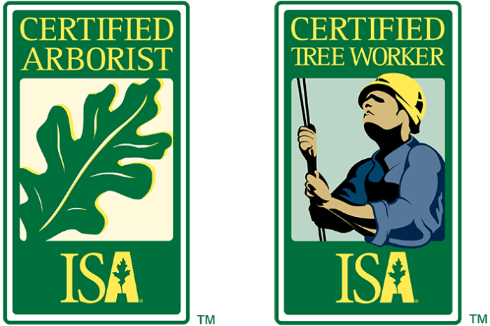 Isa arborist certification practice test