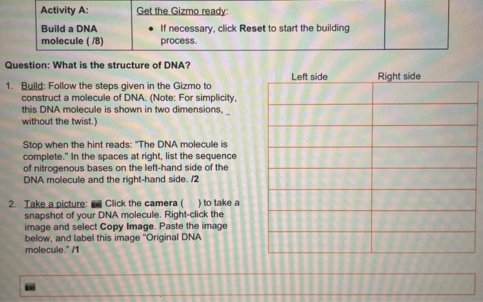 Building dna gizmo answers activity b