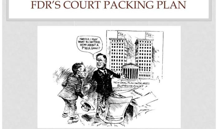 Fdr court packing plan worksheet