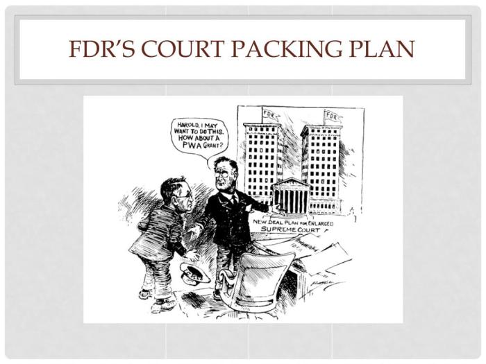 Fdr court packing plan worksheet