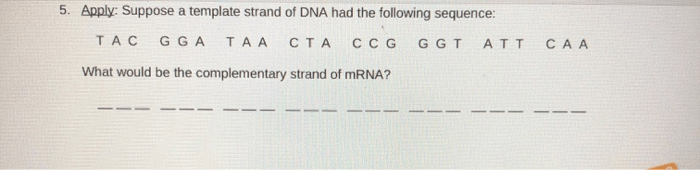 Building dna gizmo answers activity b