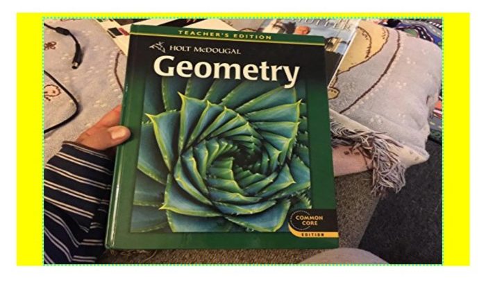 Geometry holt mcdougal textbook pdf