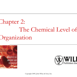 Chapter 2: the chemical level of organization