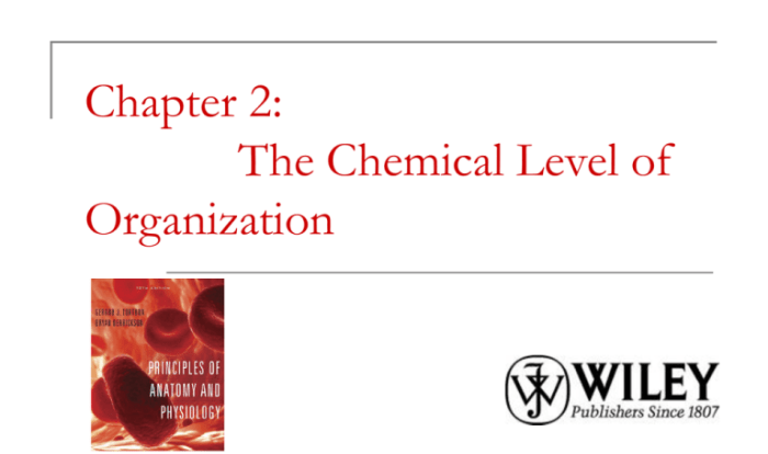 Chapter 2: the chemical level of organization