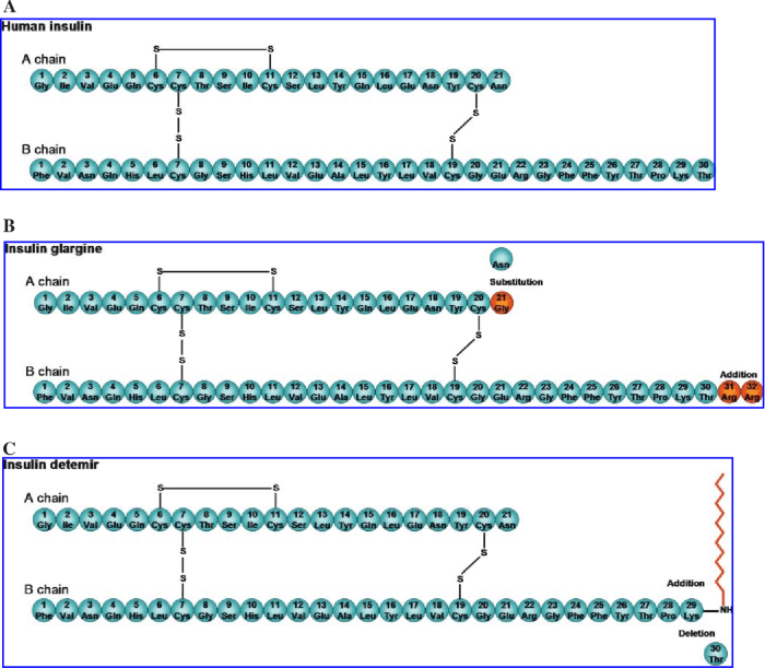 Insulin analogs glargine lantus types albumin diabetes ucsf dtc edu