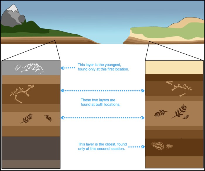 Rocks age determining relative rock layers using sedimentary tell ppt powerpoint presentation