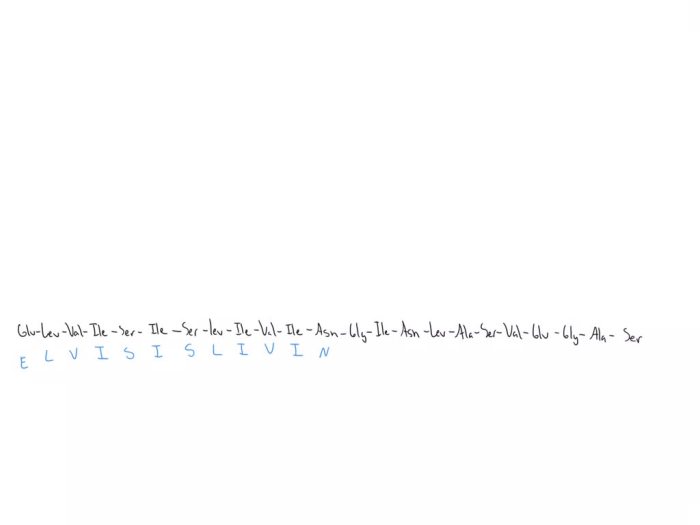 Translate the given amino acid sequence into one letter code