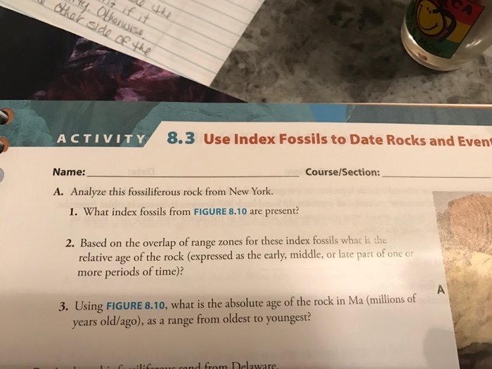 Zion fossil column fossils stratigraphic shows identify strat