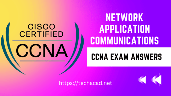 Modules 14 - 15: network application communications exam