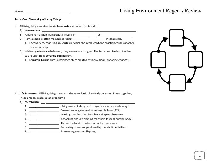 Living environment regents review questions and answers