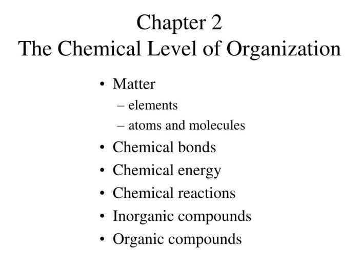 Chapter 2: the chemical level of organization