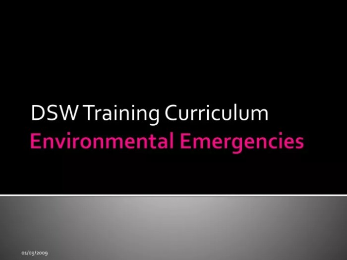 Dsw training curriculum comprehensive test answers