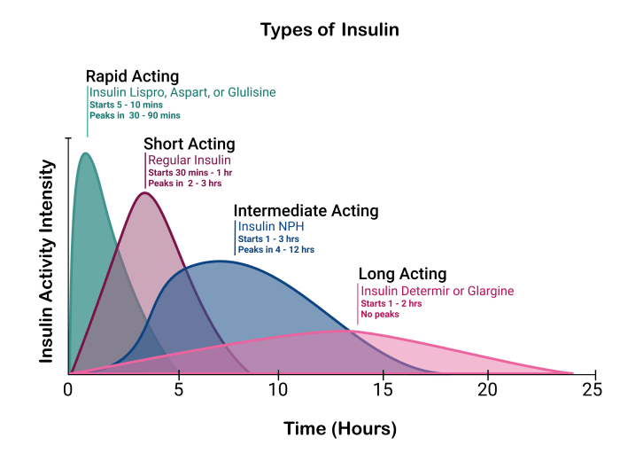 Insulin glargine lantus solostar acting basal