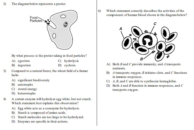 Living environment regents review questions and answers