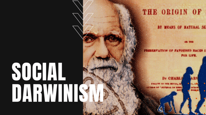 Social darwinism vs gospel of wealth